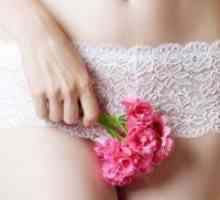 Menstruatsionny cikel po porodu