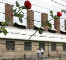 Mednarodni dan osvoboditve nacističnih koncentracijskih taborišč