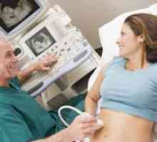 Kršenje utero-placente krvotoka