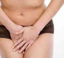 Urinska inkontinenca pri starejših ženskah