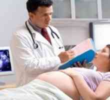 Razvoj nosečnosti - vzroki in posledice