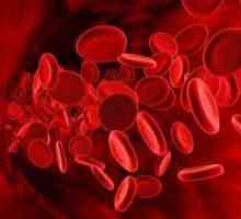 Norma trombocitov v krvi žensk