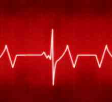Normalna človeška srčni utrip v 40 letih