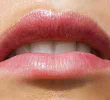 Značilnosti uporabi pigment ustnice