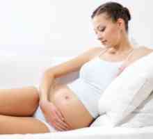 Pomanjkanje toksičnosti med nosečnostjo
