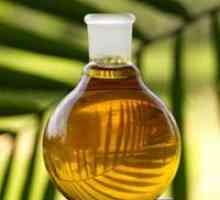 Palmovo olje - koristi in škoduje