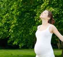 Papiloma med nosečnostjo