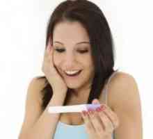 V prvih tednih nosečnosti - kaj storiti?