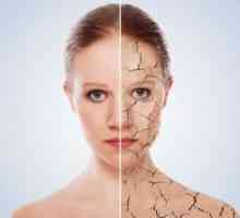Prvi znaki staranja kože