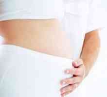 Prvo trimesečje nosečnosti - to je, koliko?