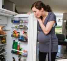 Prehrana med nosečnostjo