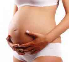 Posteljica med nosečnostjo