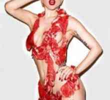 Meso obleka Lady Gaga