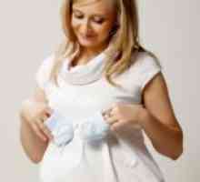 Obleke za nosečnice 2013
