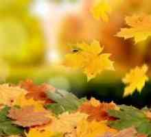 Zakaj jeseni listi porumenijo?