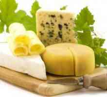 Prednosti za telo sira