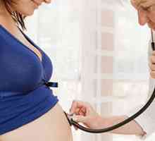 Registracija nosečnosti: pomembne točke
