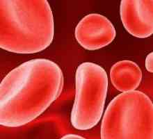 Povečana rdečih krvničk v krvi
