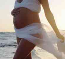 Preeclampsia noseča