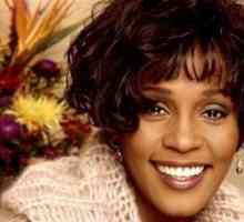 Vzrok smrti Whitney Houston
