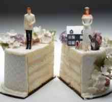 Razlogi za razvezo zakonske zveze