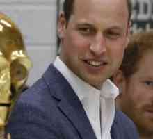 Princ Harry in William obiskal studio "Star Wars"