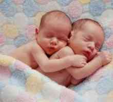 Znaki dvojčka v zgodnji nosečnosti