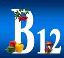 Živila, ki vsebujejo vitamin B12