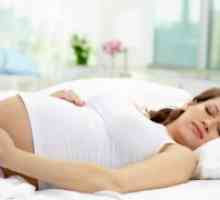 Prolaktina in nosečnost