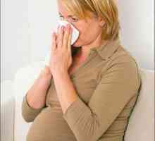 Prehlad med nosečnostjo