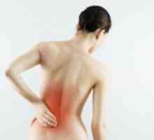 Izboklina ledvenega dela hrbtenice