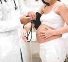 Pulse med nosečnostjo