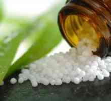 Pulsatilla - Homeopatija
