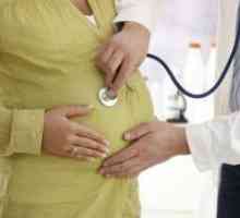 Utripa trebuh med nosečnostjo