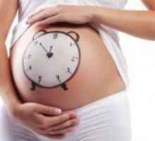 Izračun trajanja nosečnosti