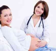 Velikost maternice, ki jih teden nosečnosti