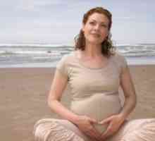 Dimenzije maternice med nosečnostjo