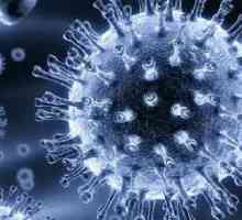 Rotavirus - inkubacijska doba