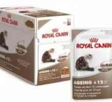 Royal Canin za mačke