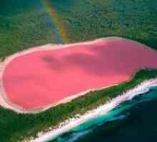 Pink jezero v Avstraliji