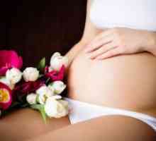 Roza izcedek v zgodnji nosečnosti