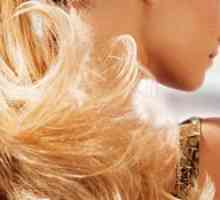 Split konice las: kako se spopasti z njimi
