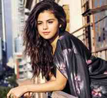 Selena Gomez je noseča?