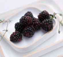 Mulberry - koristi in škoduje