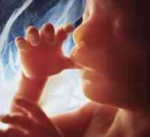 Mešanjem zarodka pred rojstvom