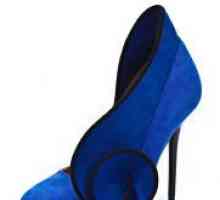 Modri ​​usnjeni čevlji
