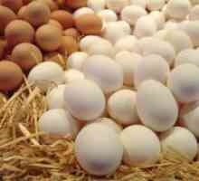 Koliko beljakovin v eno jajce?