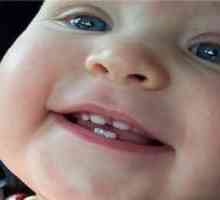 Koliko mlečnih zob pri otrocih?
