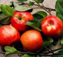 Koliko ogljikovih hidratov v jabolko?