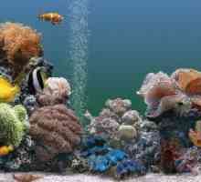 Združljivost akvarijske ribe